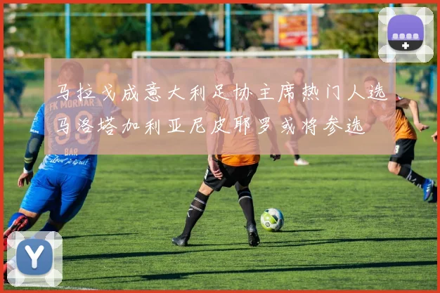 马拉戈成意大利足协主席热门人选马洛塔加利亚尼皮耶罗或将参选